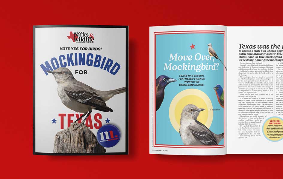 Texas Parks & Wildlife Magazine May 2024 cover