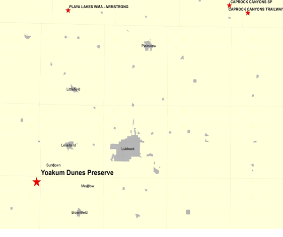 Vicinity Map for Yoakum Dunes Preserve 40 Miles Southwest of Lubbock