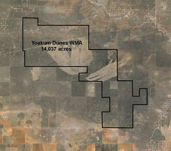 Site Map for the Proposed Yoakum Dunes Wildlife Management Area
