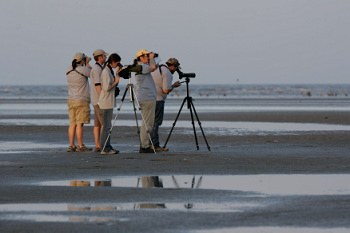 adult_coastalTAMUG Birding Classic team