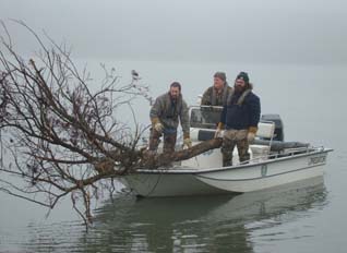 Management crew carrying cut tree in boat