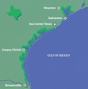 Texas Coastal Habitats Overview — Texas Parks & Wildlife Department