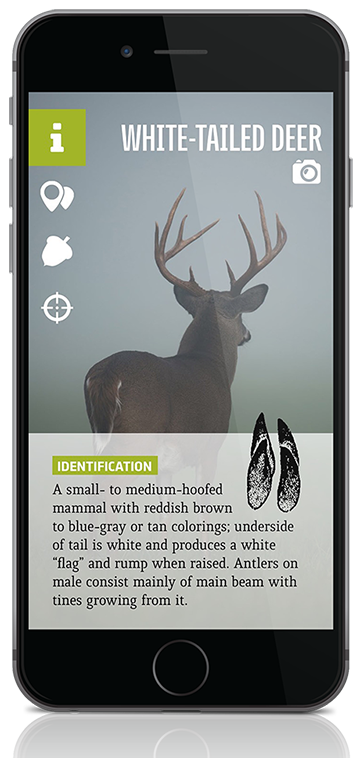 New Texas Hunting Guide
