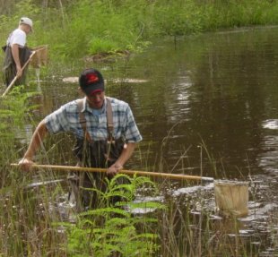 Two youths dipnetting in a creek. Two youths dipnetting in a creek.
