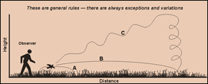 Drawing Showing Typical Fleeing Behavior on initial flushes of selected species with descriptions below; links to larger drawing.