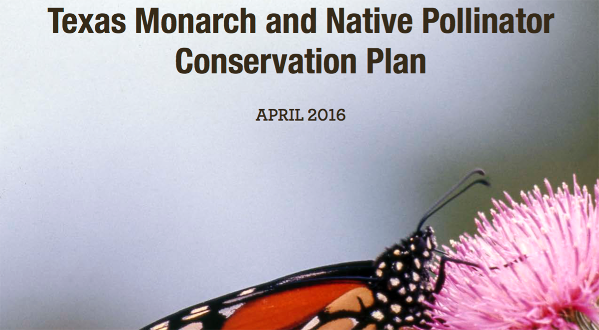Texas Monarch and Native Pollinator Conservation Plan
