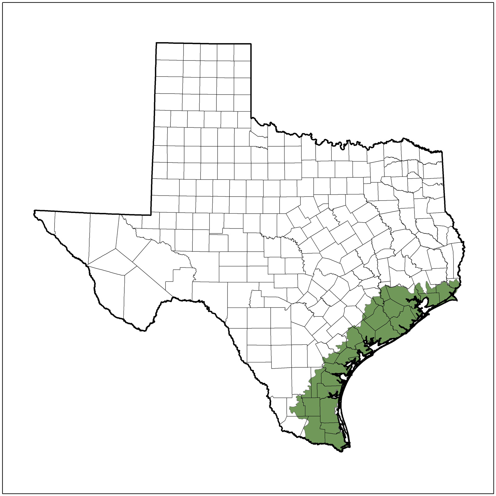 Gulf Prairies & Marshes Ecoregion Texas