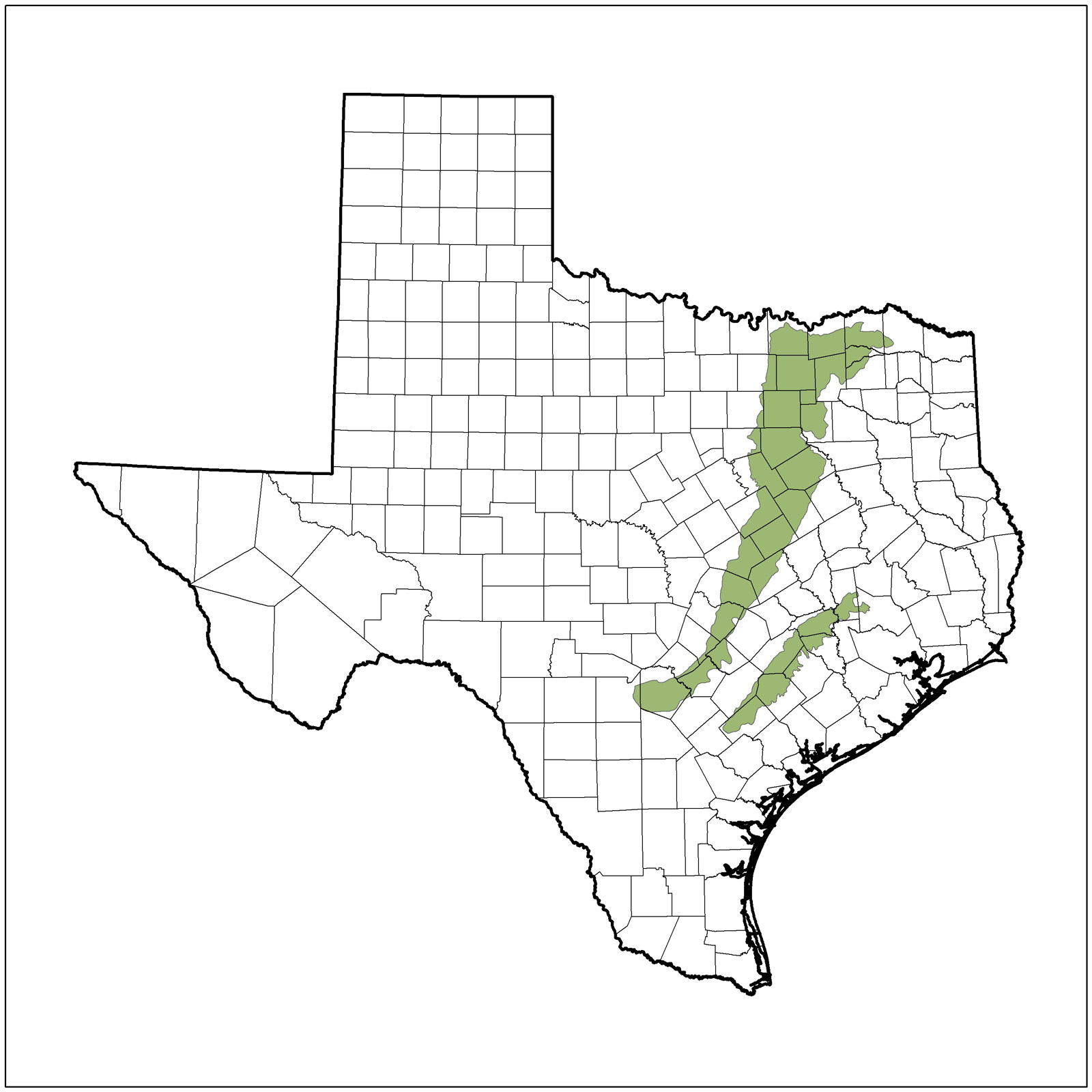 Blackland Prairies Ecoregion of Texas