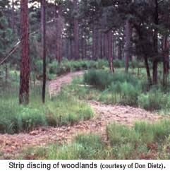 Strip-discing of woodlands.