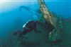 06 Texas Artificial Reef Diver Tg6908