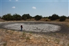 Dry Ranch Stock Pond Near Gatesville in Coryell County