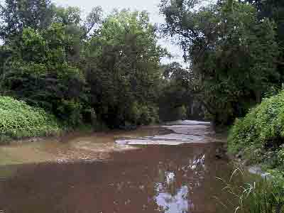 Nelson Creek south of FM 3487