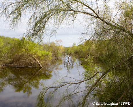 Resaca de la Palma State Park