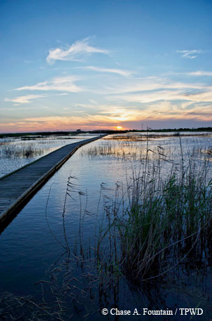 Sea Rim State Park