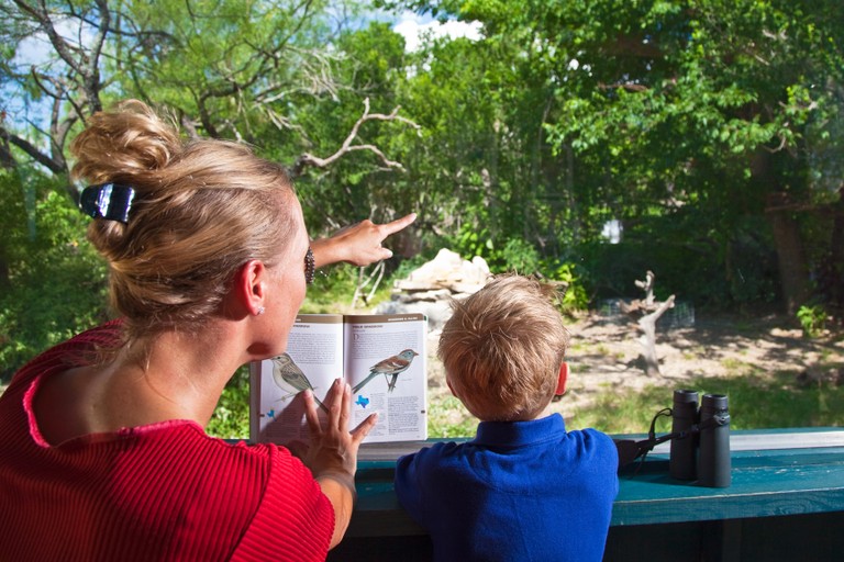 Birding — Texas Parks & Wildlife Department