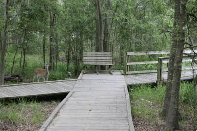 wheelchairaccessible1