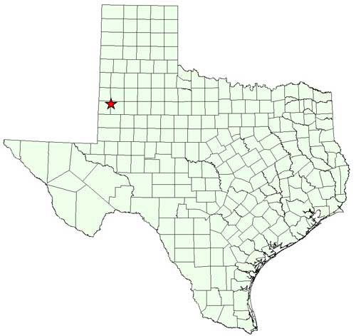 Fitzgerald Ranch in Terry and Yoakum Counties in relation to the State of Texas