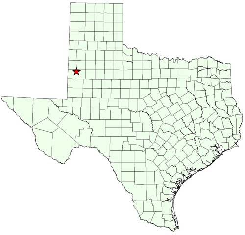 Location of the Fitzgerald Ranch in Terry and Yoakum Counties in relation to the State of Texas