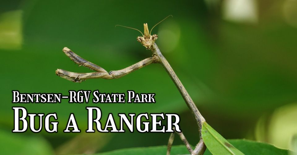 Bug a Ranger Event Banner.jpg