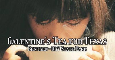 Galentine's Tea for Texas FB Event Banner.jpg