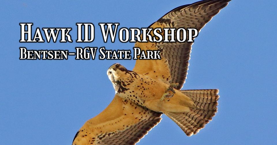 Hawk ID Workshop Event Banner.jpg