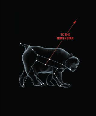 ursa_major_chart.jpg