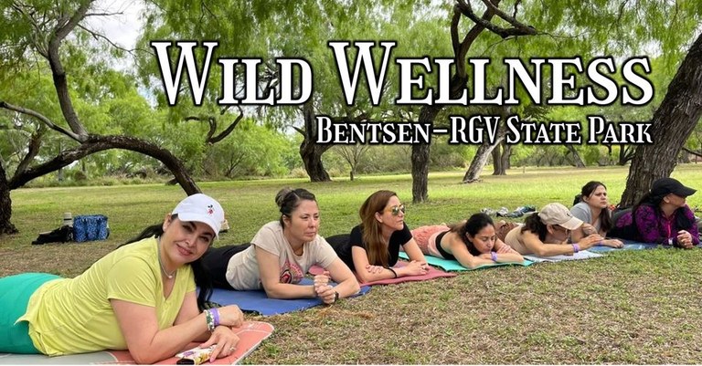 Yoga participants gather in a circle to meditate and forest bathe