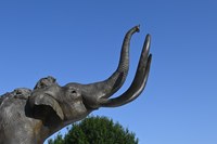 A bronze statue of a mammoth bellows into the sky.