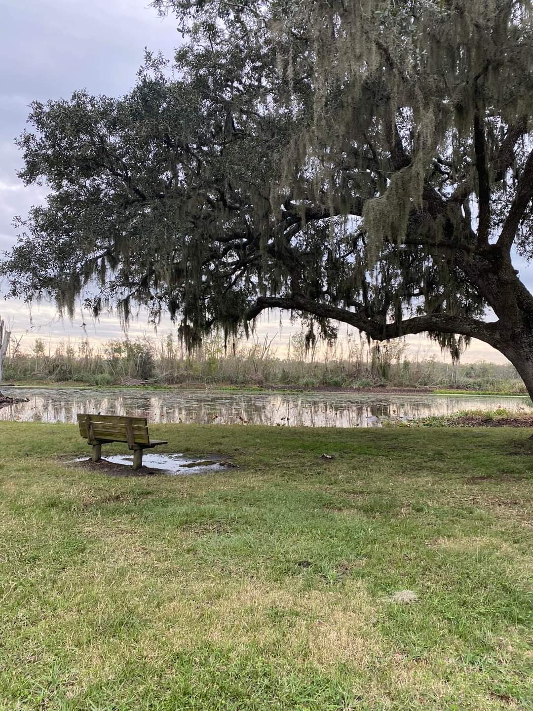 Elm Lake