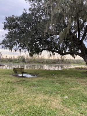 Elm Lake