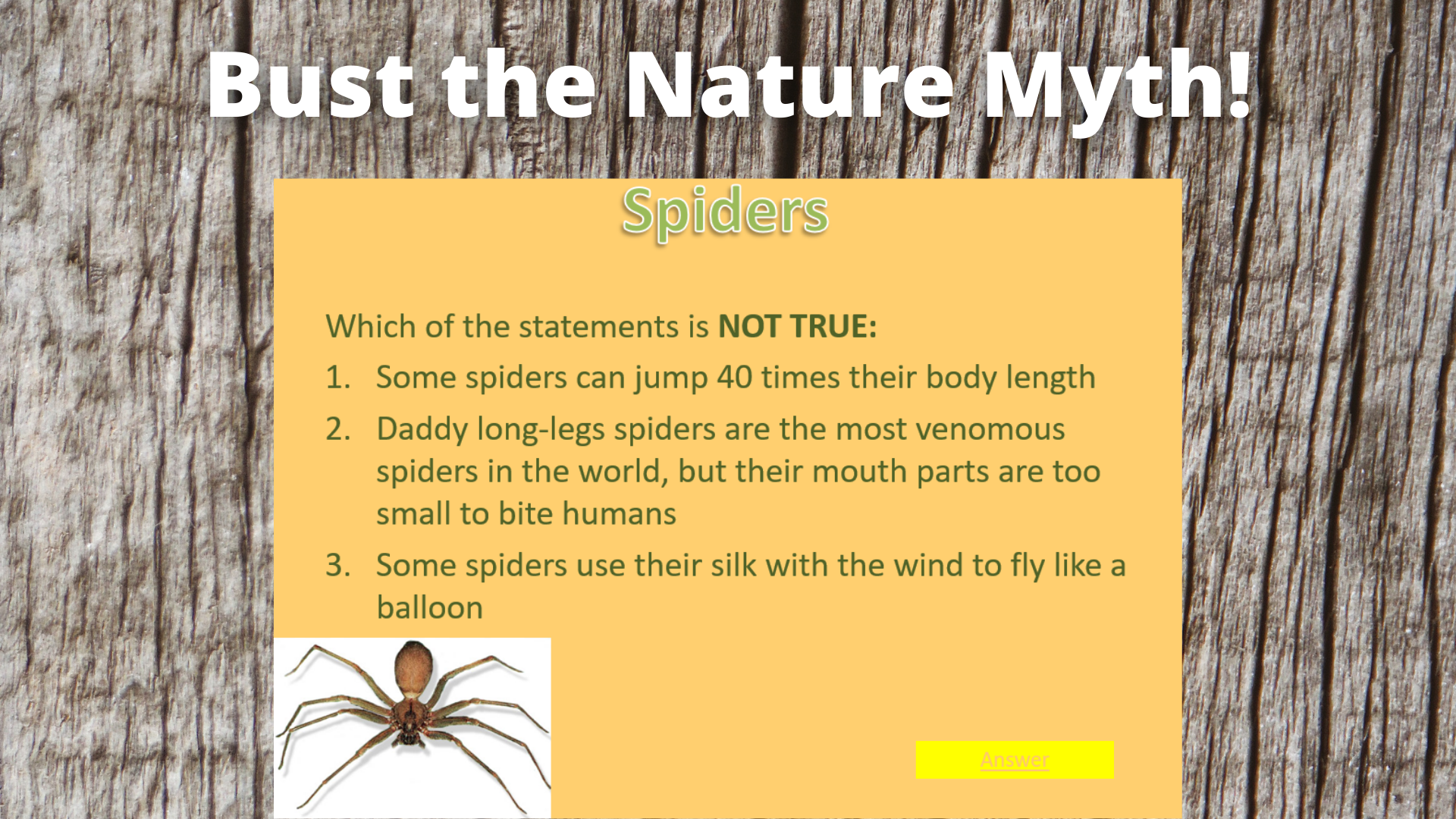 Bust the Nature Myth! (2).png