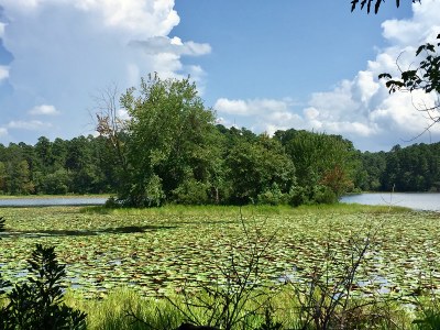 DSP CCC Island Pre-cleaning