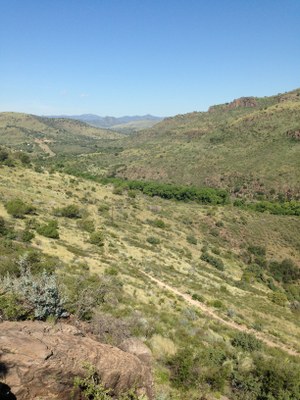 IMG_0951.JPG