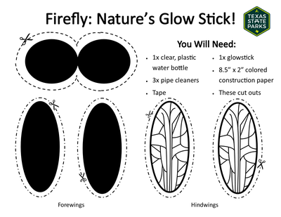 Firefly Craft Program Printable.png