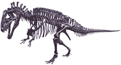 acro skeleton.gif