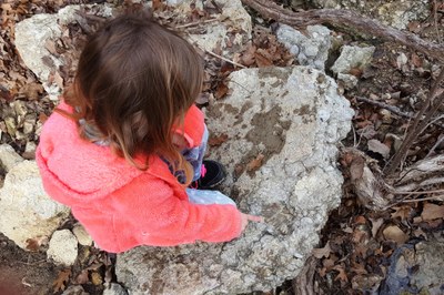 Amateur Paleontologist.jpg