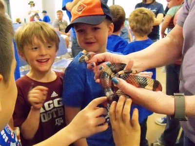 Snakes Alive 3.jpg