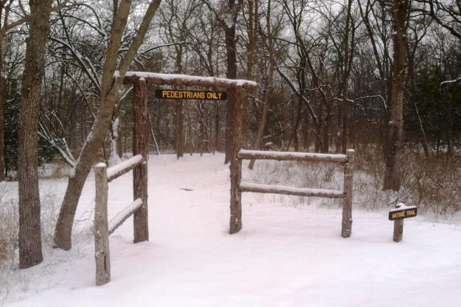 Snowy Hike.jpg