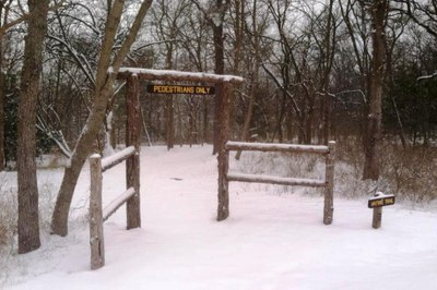 Snowy Hike.jpg