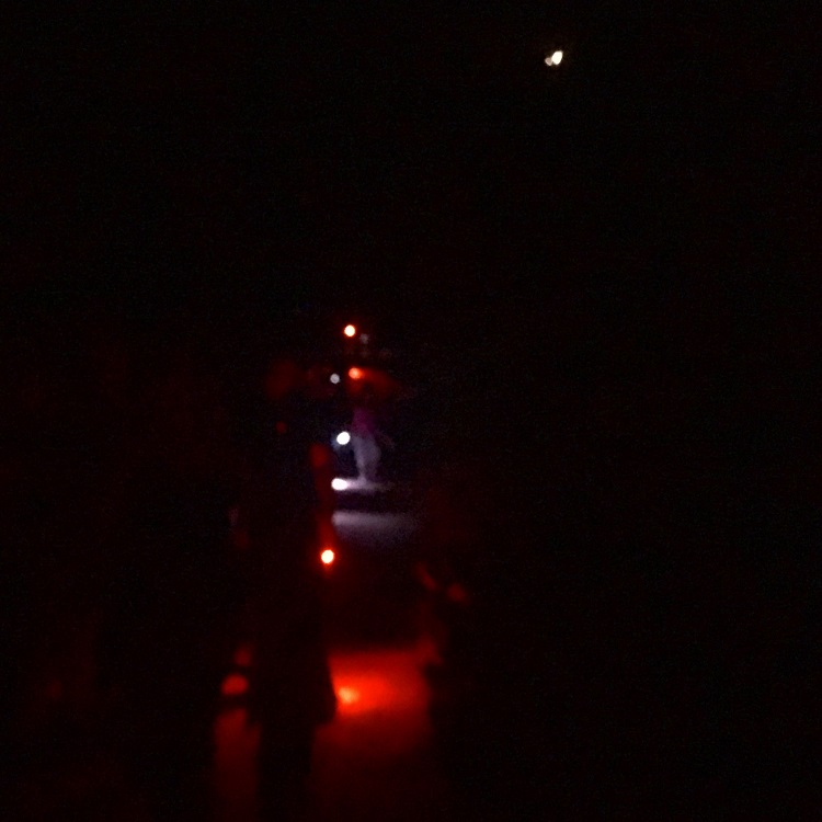 Night_Hike.jpg