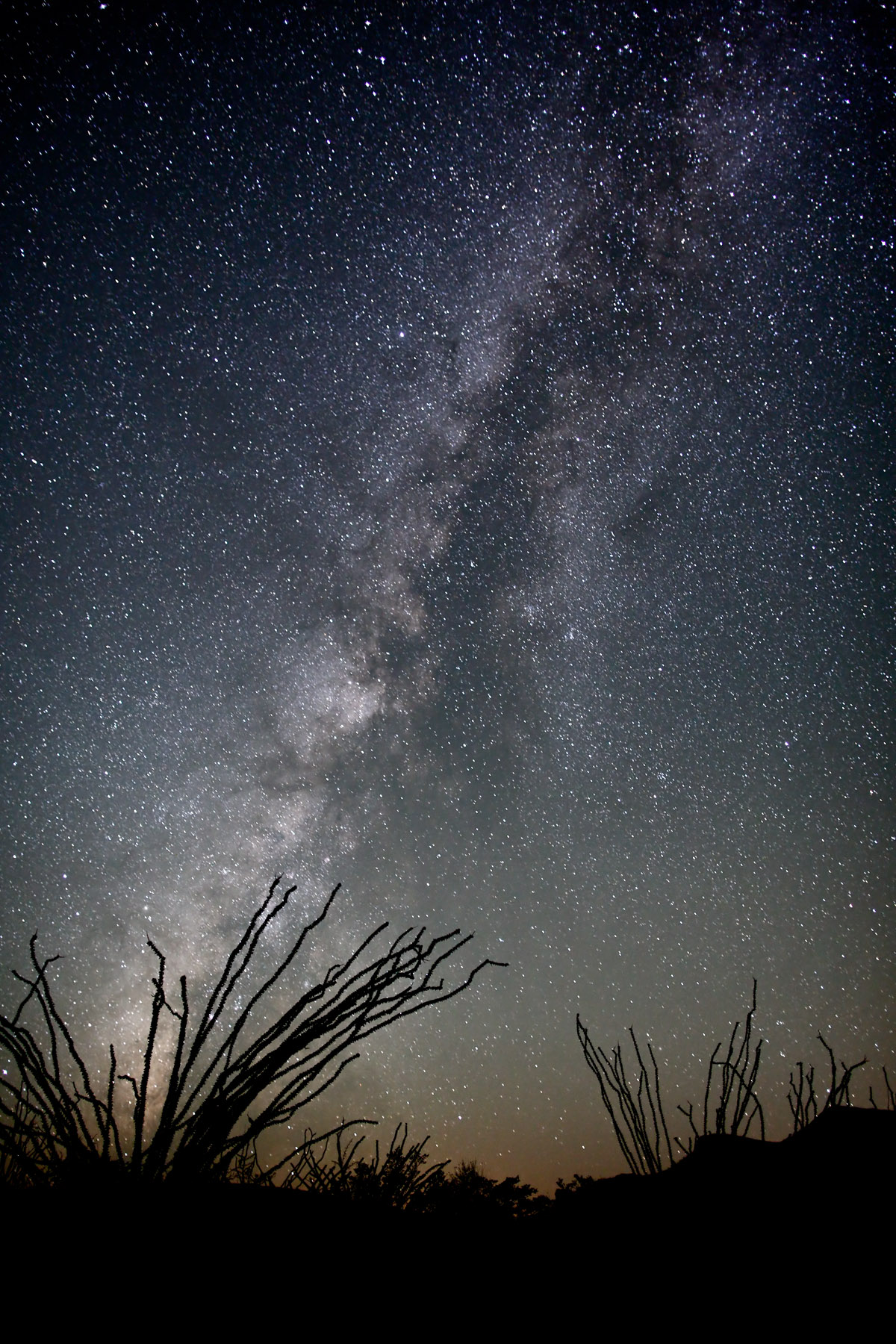 ThomasAvery_OcotilloandStars.jpg