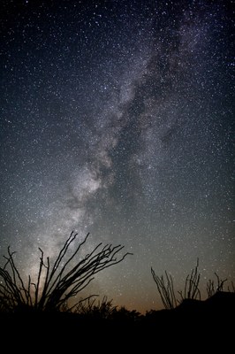 ThomasAvery_OcotilloandStars.jpg