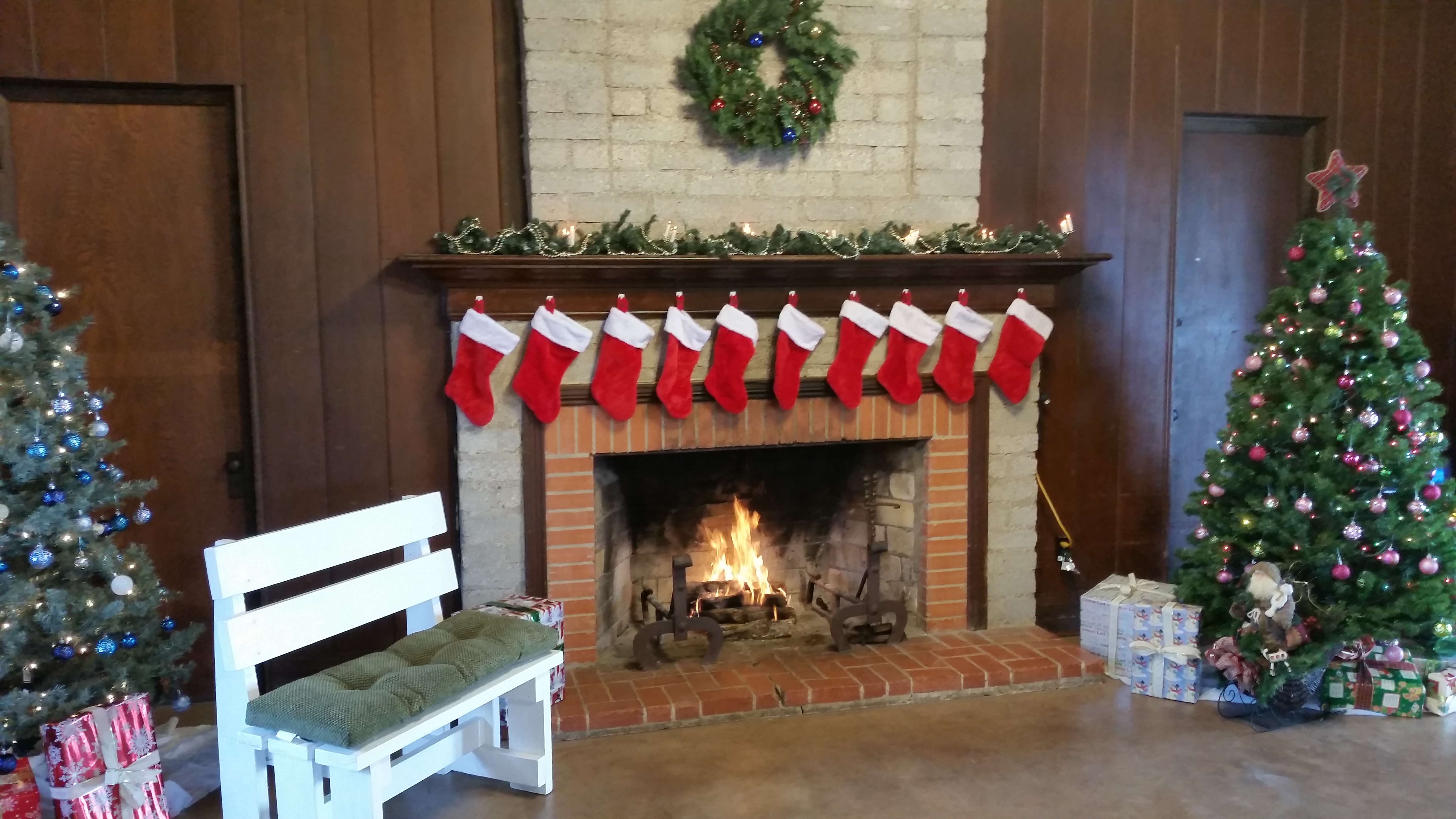 Christmas back drop.jpg