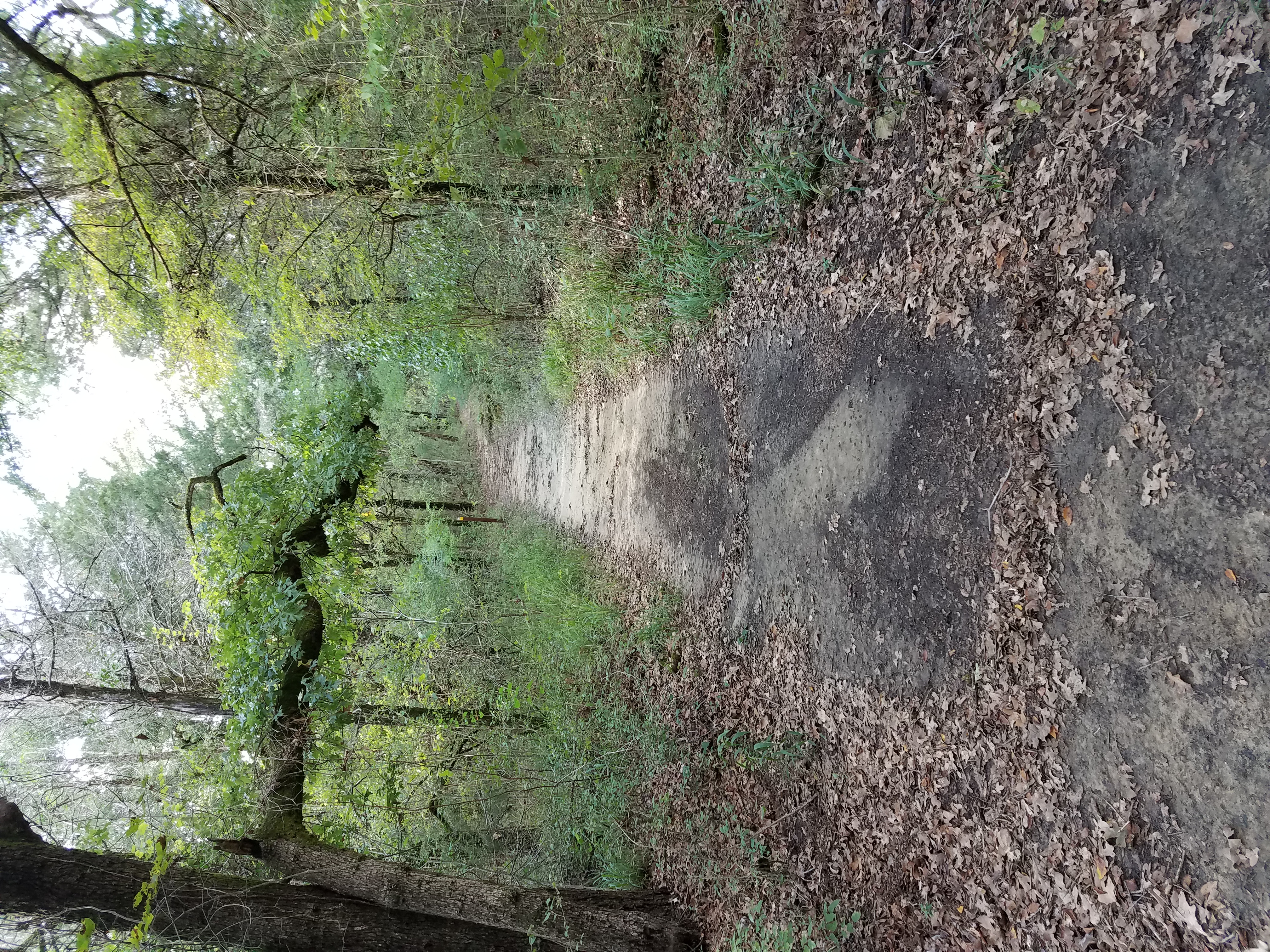 Hike.jpg