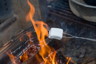 Marshmallow