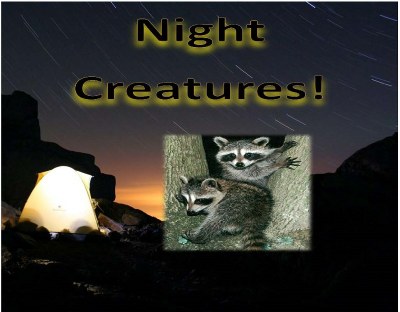 Night Creatures