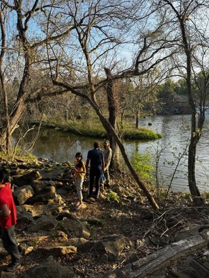 SpringfieldWalk