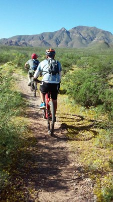 FMSP Bikes2