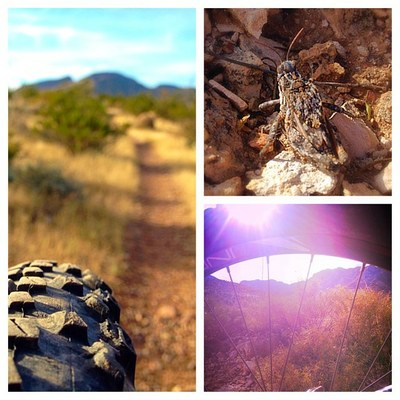 FMSP bikes4