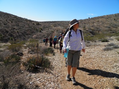 FMSP Maze Trail